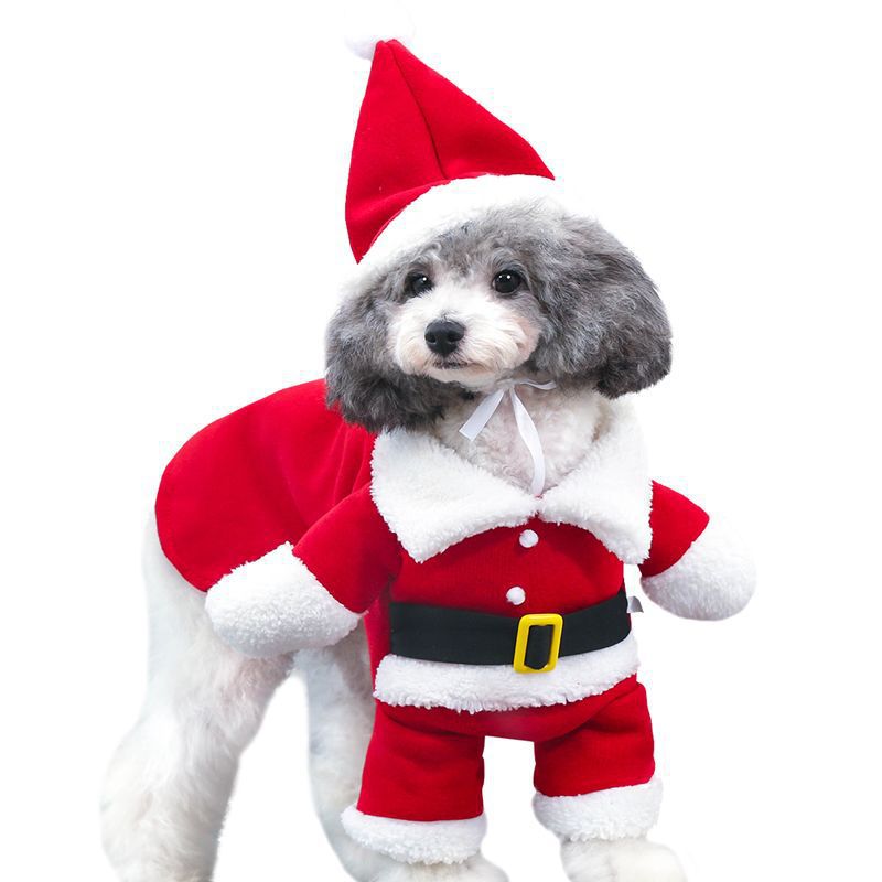 Pet Santa costume for dogs and cats