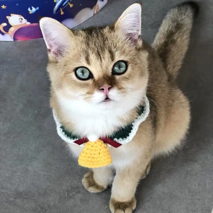 Crochet Christmas pet collar